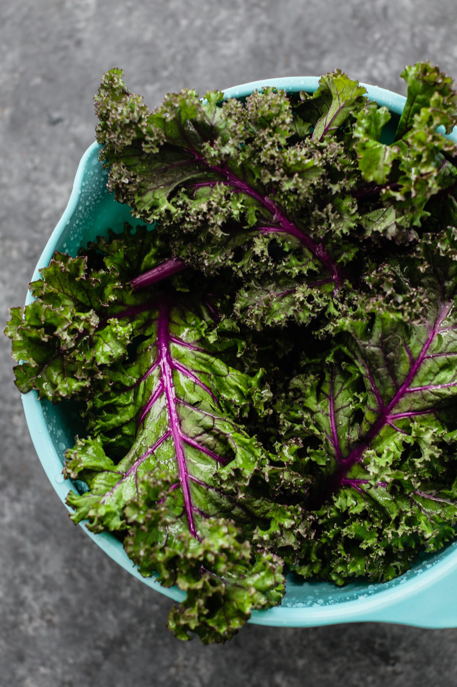 red kale in bowl by Flora & Vino 