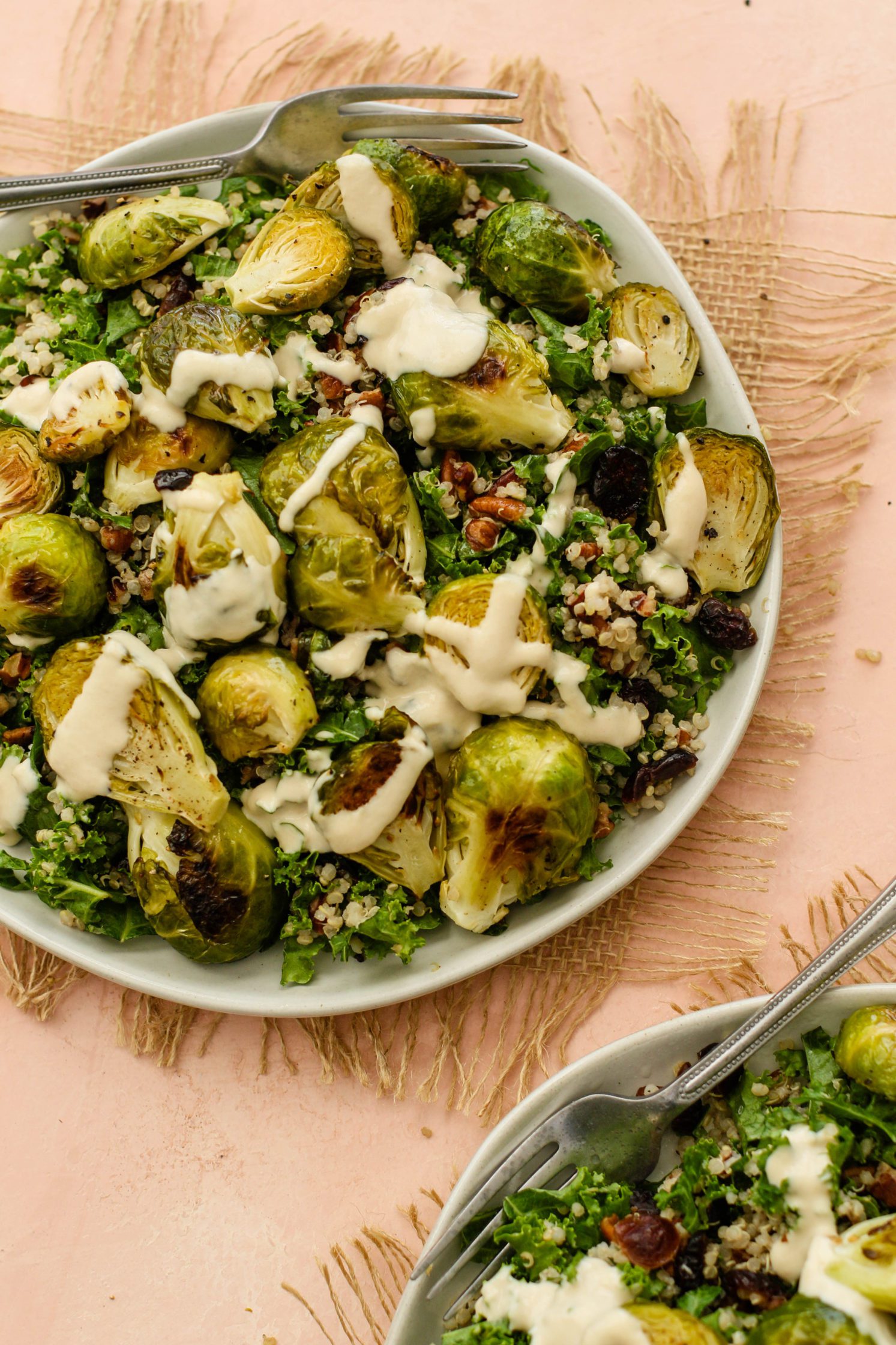Brussels Sprout Cranberry Salad served with with Apple Cider Tahini
