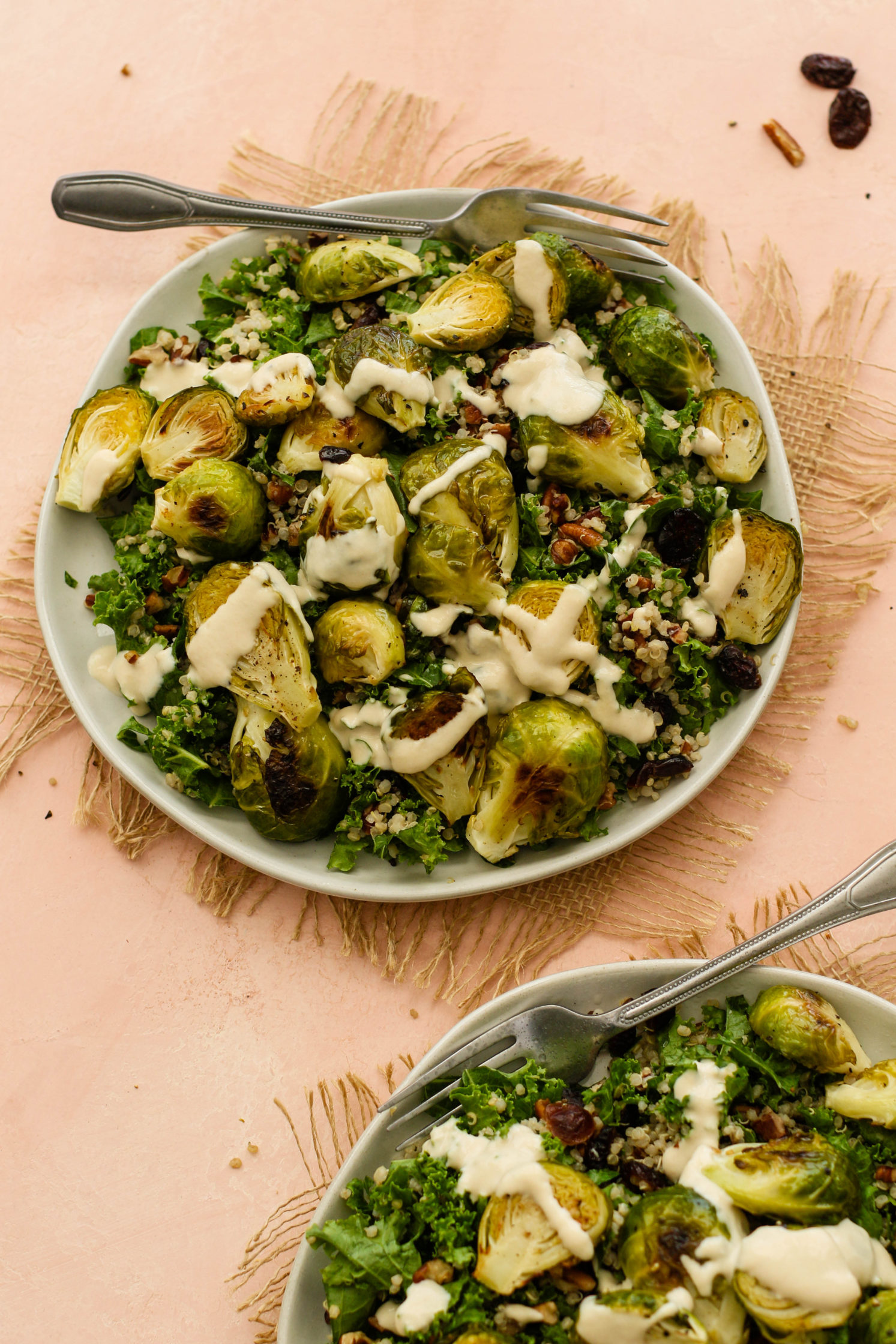Cranberry Quinoa Brussel Sprout Salad with Apple Cider Tahini