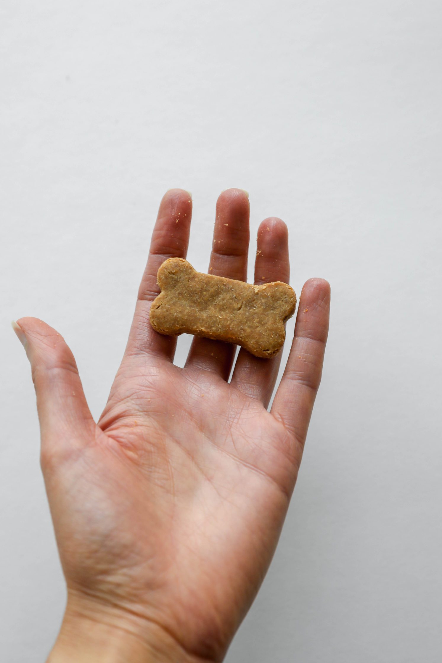 3-Ingredient Peanut Butter Banana Dog Treat in hand