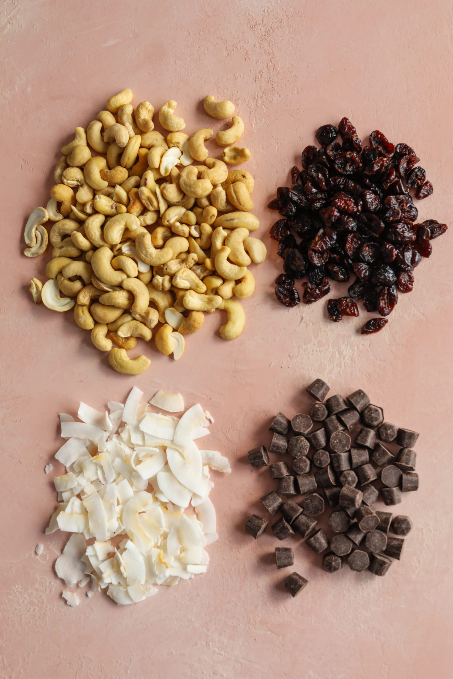 cashews, dried cranberries, chocolate chunks, and shredded coconut on pink background