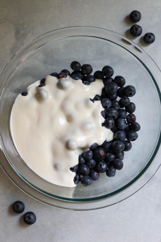 blueberries in bowl with yogurt 