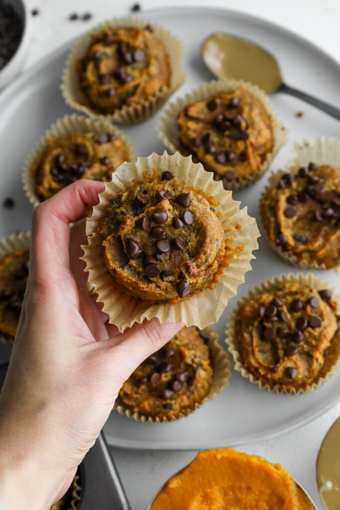 hand holding one Pumpkin SunButter Chocolate Chip Muffin by Flora & Vino