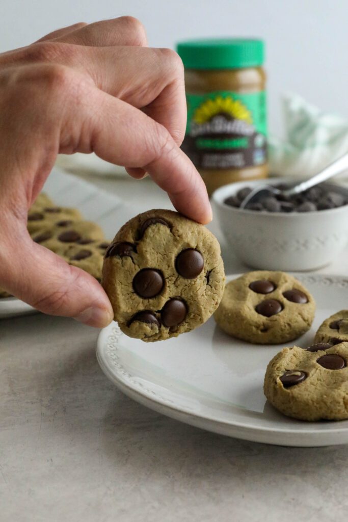hand holding chocolate chip snack cookie off of plate 